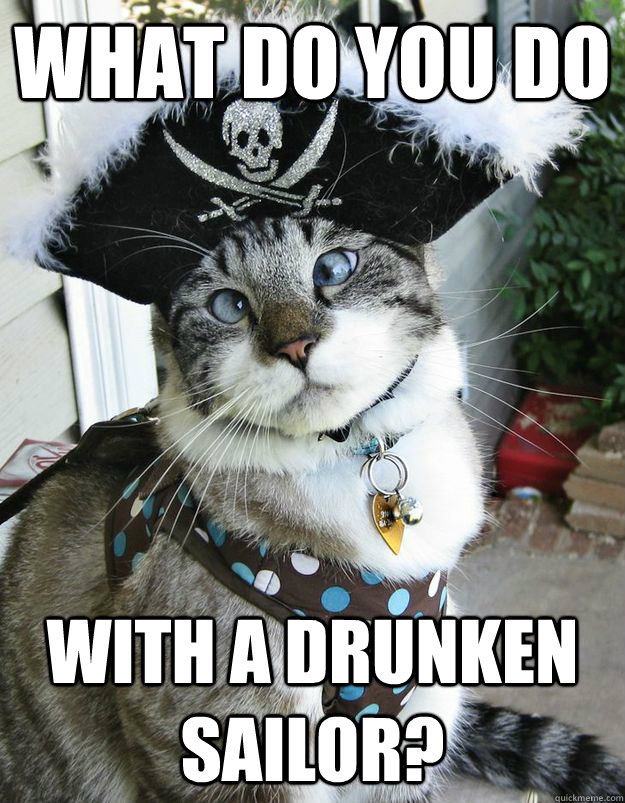 What do you do With a drunken sailor? - What do you do With a drunken sailor?  Drunk Pirate Kitty