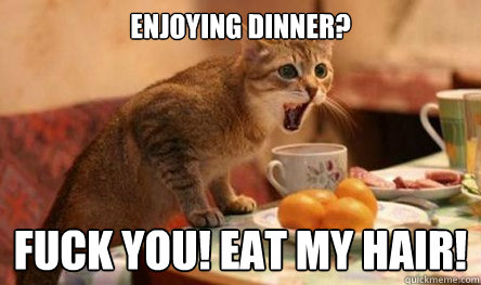ENJOYING DINNER? FUCK YOU! EAT MY HAIR!  