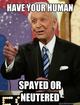 have your human  spayed or neutered  