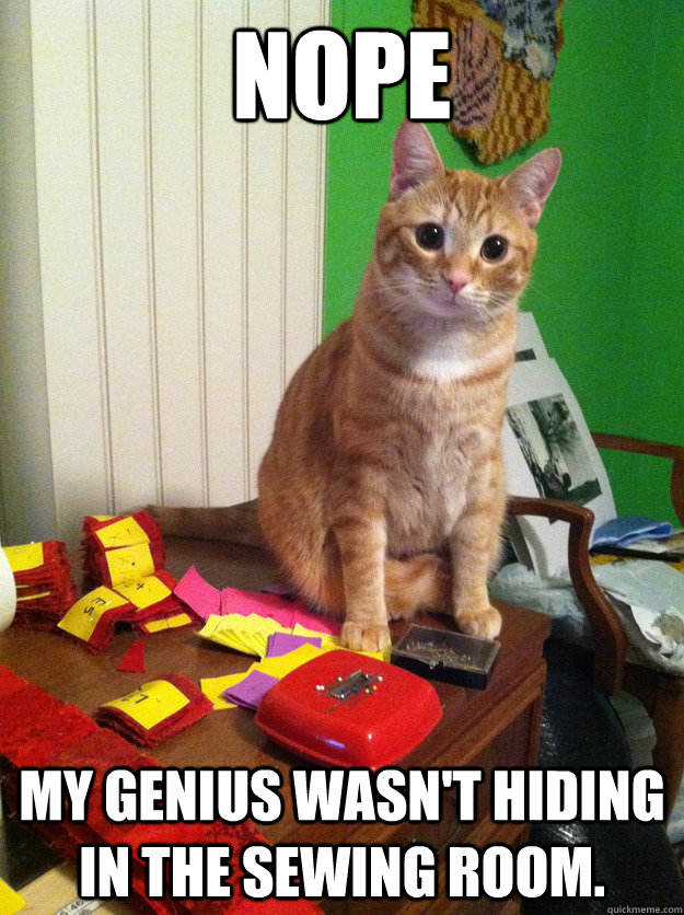 nope my genius wasn't hiding in the sewing room. - nope my genius wasn't hiding in the sewing room.  Secret Genius Cat