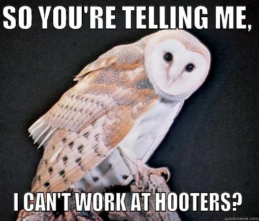 SO YOU'RE TELLING ME,  I CAN'T WORK AT HOOTERS? Misc