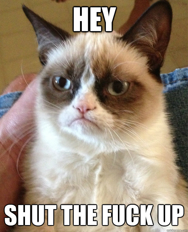 Hey Shut the fuck up - Hey Shut the fuck up  Grumpy Cat