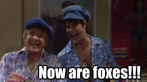  Now are foxes!!!  Festrunk Brothers