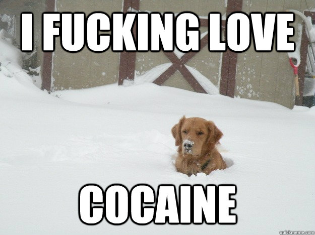 I fucking love COCAINE  
