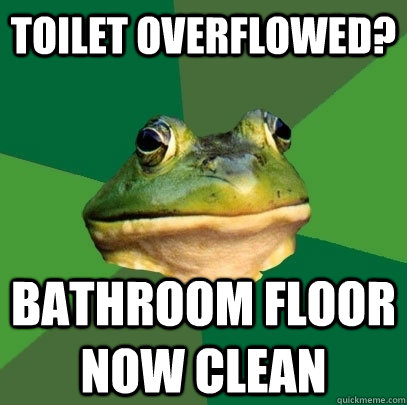 Toilet overflowed? Bathroom floor now clean  Foul Bachelor Frog
