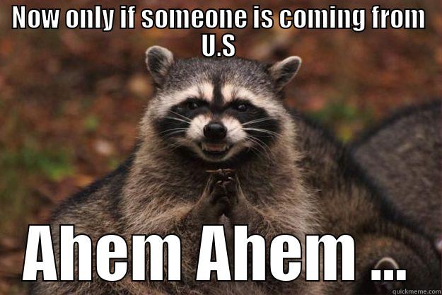 some one coming from U.S - NOW ONLY IF SOMEONE IS COMING FROM U.S AHEM AHEM ... Evil Plotting Raccoon