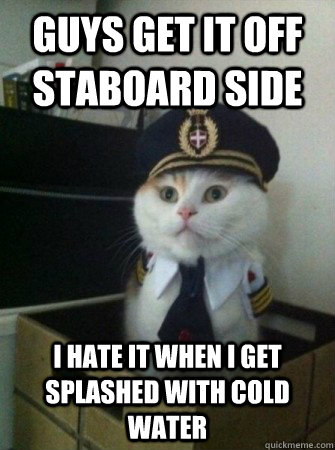 guys Get it off staboard side I hate it when I get splashed with cold water - guys Get it off staboard side I hate it when I get splashed with cold water  captain kitty