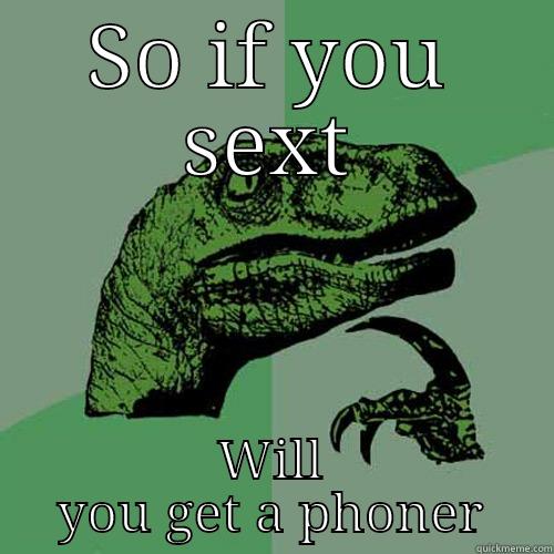 SO IF YOU SEXT WILL YOU GET A PHONER Philosoraptor
