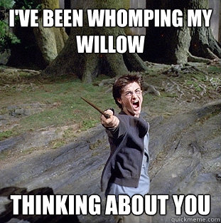 I've been whomping my willow thinking about you  Pissed off Harry