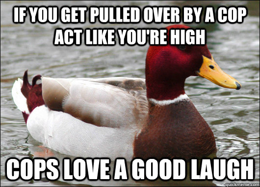 If you get pulled over by a cop act like you're high cops love a good laugh  Malicious Advice Mallard