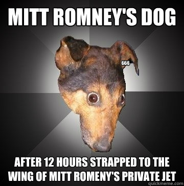 Mitt Romney's Dog after 12 hours strapped to the wing of Mitt Romeny's private jet 666  Depression Dog