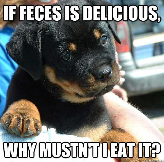 If feces is delicious, Why mustn't I eat it? - If feces is delicious, Why mustn't I eat it?  Philosorottweiler