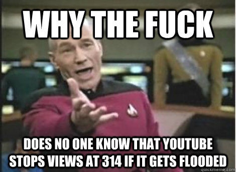 why the fuck does no one know that youtube stops views at 314 if it gets flooded - why the fuck does no one know that youtube stops views at 314 if it gets flooded  Misc