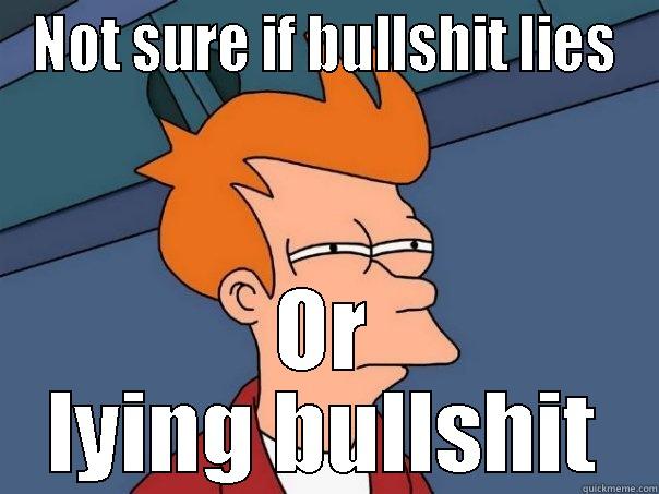 NOT SURE IF BULLSHIT LIES OR LYING BULLSHIT Futurama Fry