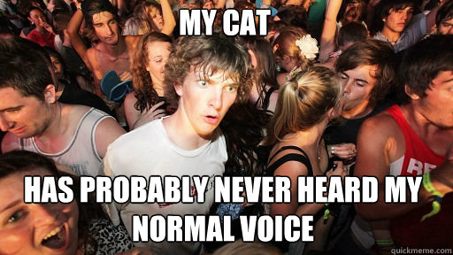 My cat
 has probably never heard my normal voice  Sudden Clarity Clarence