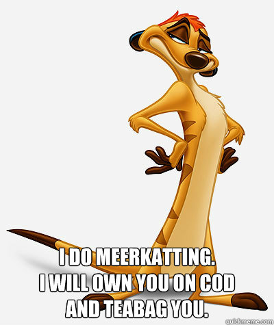  I do meerkatting.
I will own you on COD
and teabag you. -  I do meerkatting.
I will own you on COD
and teabag you.  Smug Timon