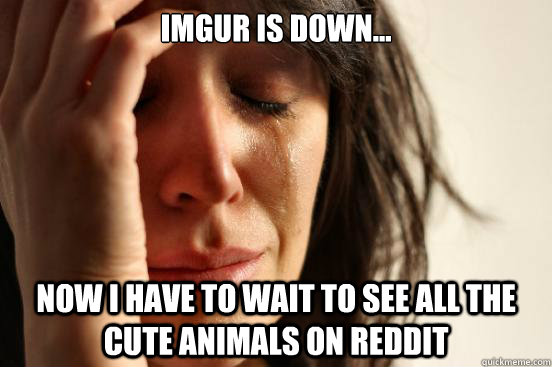 imgur is down... Now I have to wait to see all the cute animals on Reddit  First World Problems