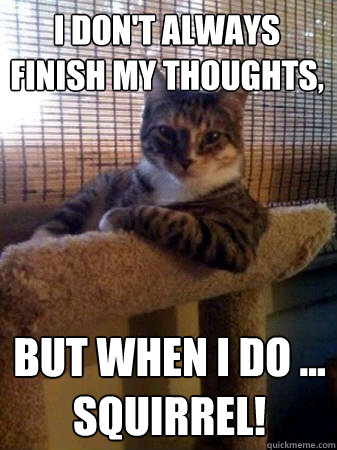 I don't always finish my thoughts, but when I do ...
Squirrel!  The Most Interesting Cat in the World