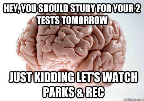hey, you should study for your 2 tests tomorrow just kidding let's watch parks & rec  Scumbag Brain