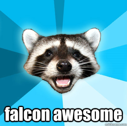  falcon awesome  Lame Pun Coon