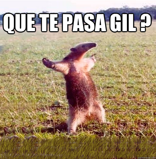 Que te pasa gil ?  - Que te pasa gil ?   oso hormiguero