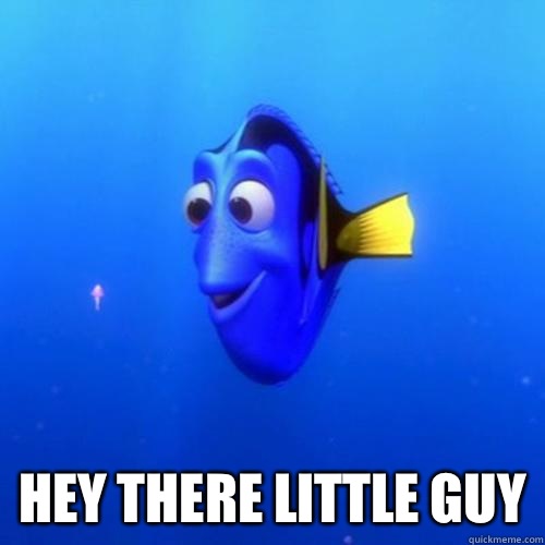  Hey there little guy  dory