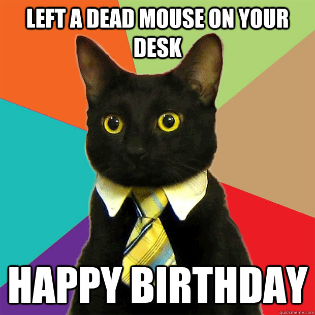 Left a dead mouse on your desk happy birthday  Business Cat