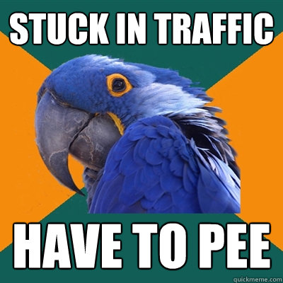 stuck in traffic have to pee  Paranoid Parrot