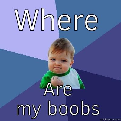WHERE ARE MY BOOBS Success Kid