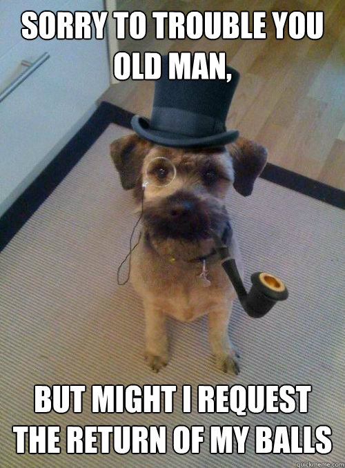 Sorry to trouble you old man,  But might I request the return of my balls  Gentleman Dog