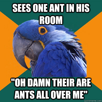 Sees one ant in his room 