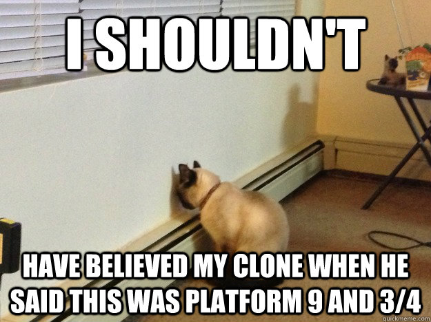 I shouldn't have believed my clone when he said this was platform 9 and 3/4  Regretful Cat