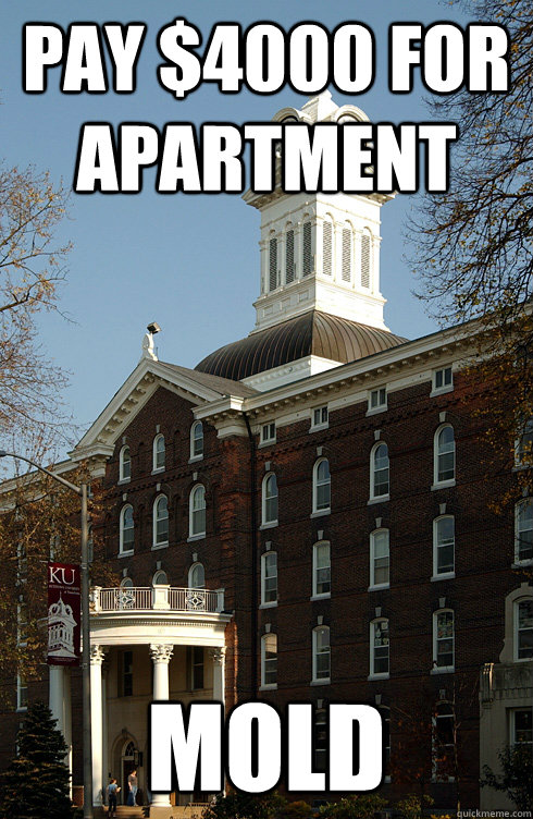 pay $4000 for apartment mold  Kutztown Big Chicken