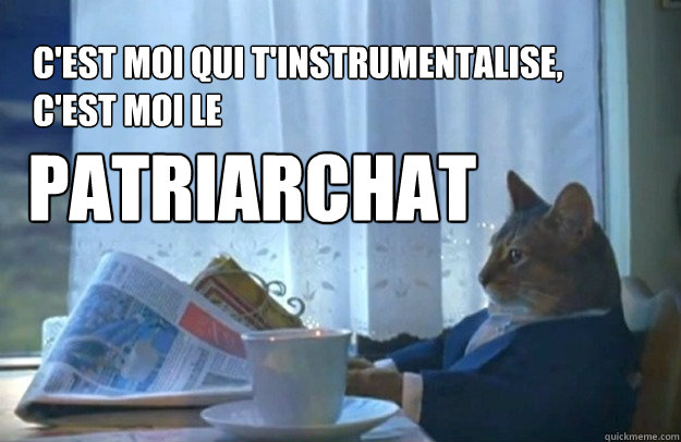 C'est moi qui t'instrumentalise,
c'est moi le patriarchat  Sophisticated Cat