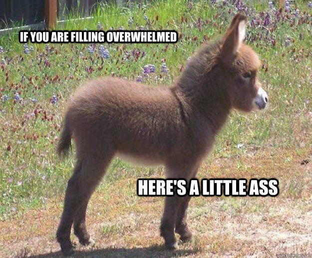 if you are filling overwhelmed  here's a little ass  in case you dont get any tonight