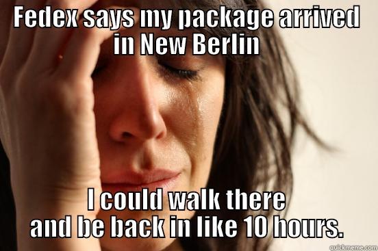 postal service - FEDEX SAYS MY PACKAGE ARRIVED IN NEW BERLIN I COULD WALK THERE AND BE BACK IN LIKE 10 HOURS. First World Problems