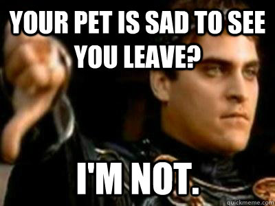 Your pet is sad to see you leave? I'm not.  Downvoting Roman