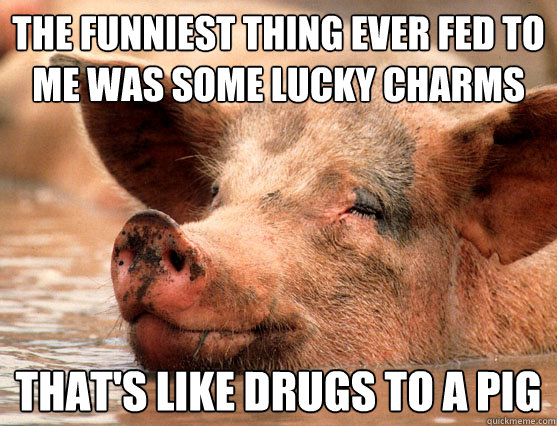 the funniest thing ever fed to me was some lucky charms that's like drugs to a pig  Stoner Pig