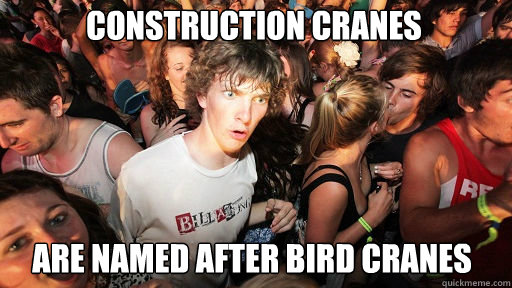 construction cranes
 are named after bird cranes  Sudden Clarity Clarence