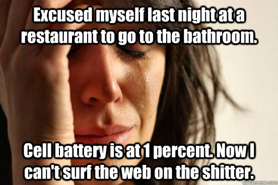 Excused myself last night at a restaurant to go to the bathroom.  Cell battery is at 1 percent. Now I can't surf the web on the shitter.  First World Problems