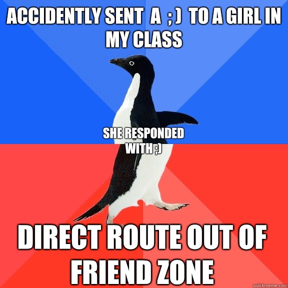 Accidently sent  a  ; )  to a girl in my class Direct route out of friend zone She responded with ;)  Socially Awkward Awesome Penguin