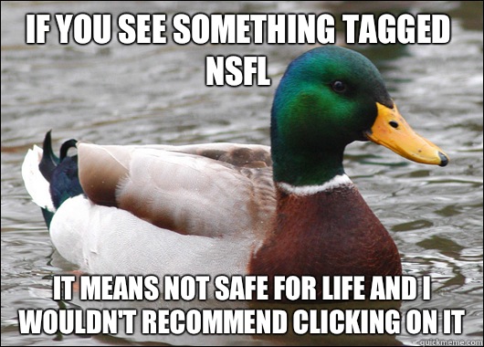 If you see something tagged NSFL It means Not Safe For Life and I wouldn't recommend clicking on it - If you see something tagged NSFL It means Not Safe For Life and I wouldn't recommend clicking on it  Actual Advice Mallard