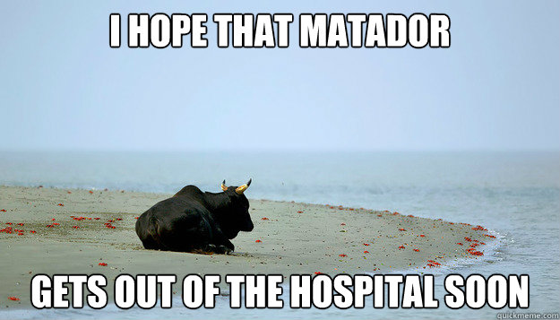 i hope that matador gets out of the hospital soon  