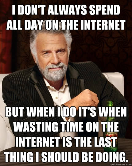 I don't always spend all day on the internet but when I do it's when wasting time on the internet is the last thing i should be doing.  The Most Interesting Man In The World