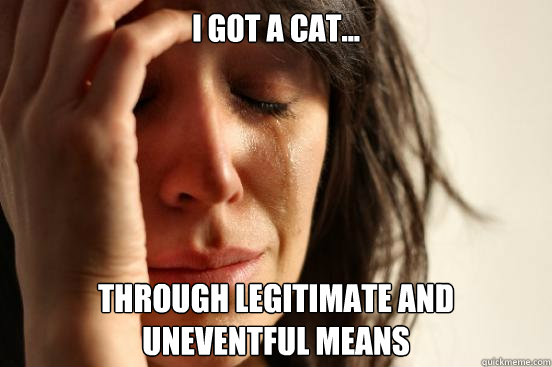 I got a cat... through legitimate and uneventful means - I got a cat... through legitimate and uneventful means  First World Problems