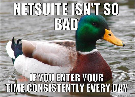 NETSUITE MALLARD - NETSUITE ISN'T SO BAD IF YOU ENTER YOUR TIME CONSISTENTLY EVERY DAY Actual Advice Mallard