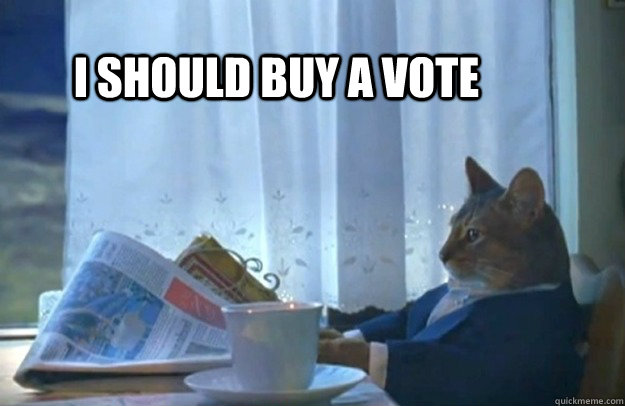 I should buy a vote  Sophisticated Cat