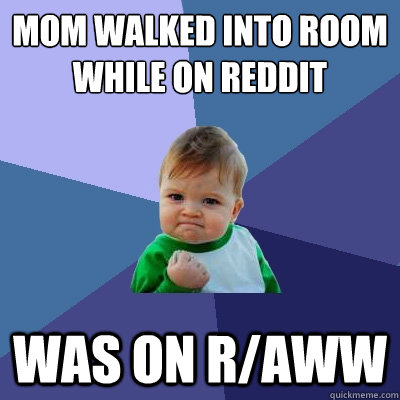 MOM WALKED INTO ROOM WHILE ON REDDIT WAS ON R/AWW  Success Kid