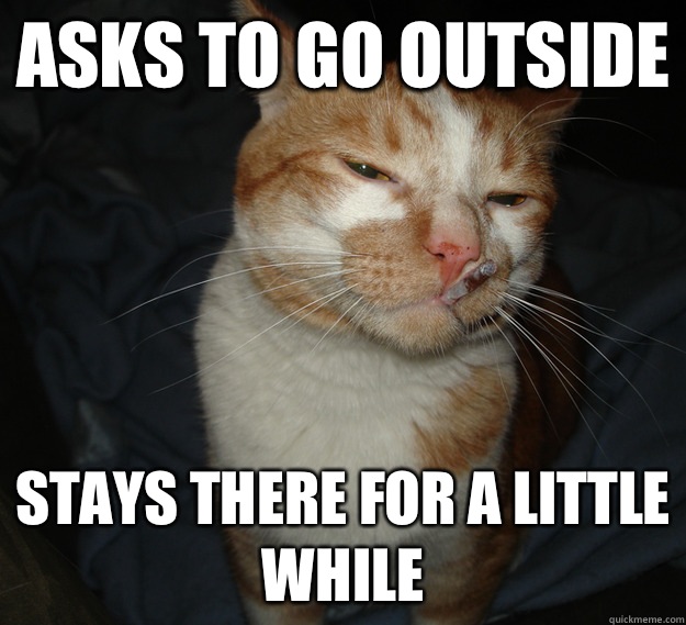 Asks to go outside Stays there for a little while  Cool Cat Craig