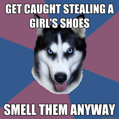 get caught stealing a girl's shoes smell them anyway  Creeper Canine